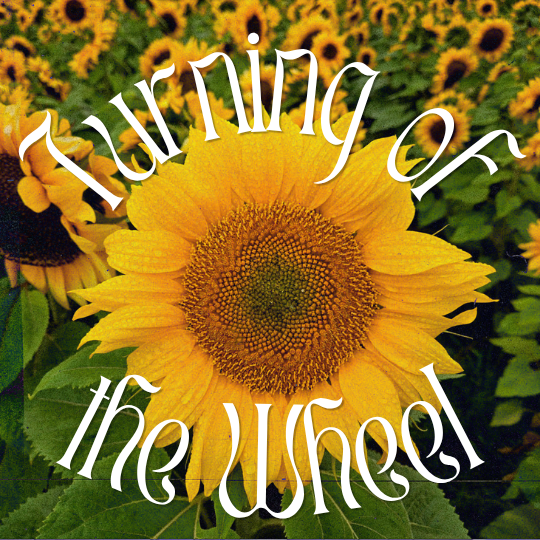 Turning of the Wheel
